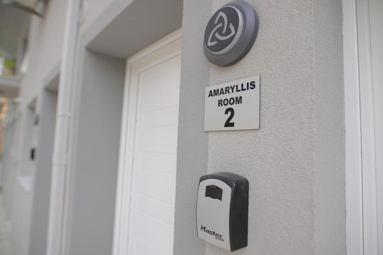 Amaryllis Maison Emporiou อเล็กซานโดรโพลิส ภายนอก รูปภาพ